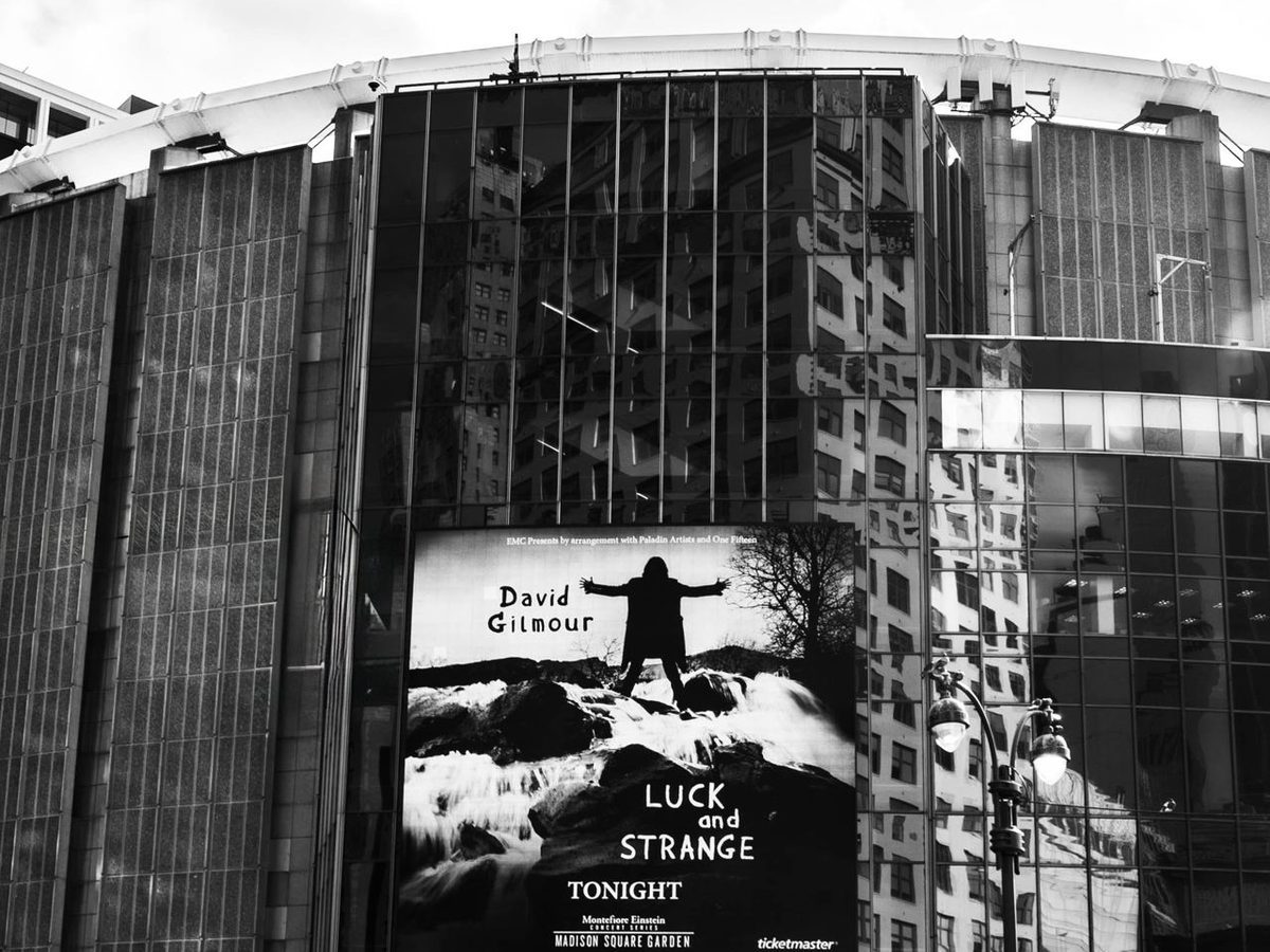 David Gilmour Luck and Strange campaign